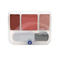 covergirl-trucheeks-blush-shade-2